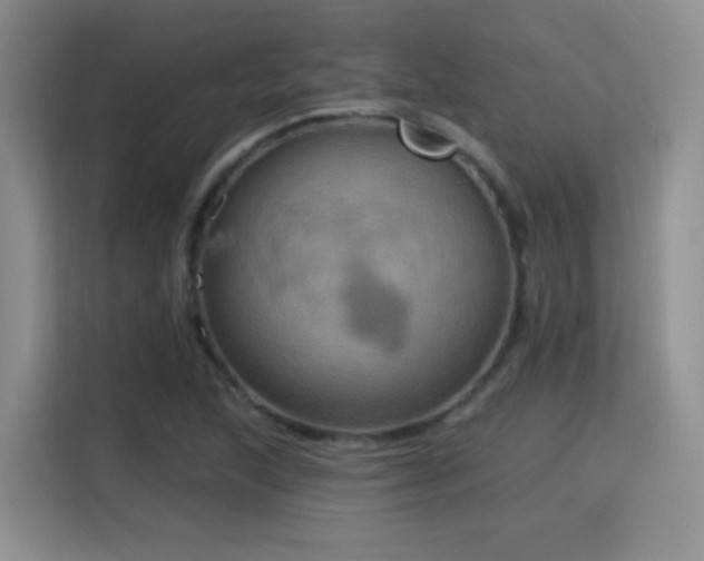X0000115321215200911091150