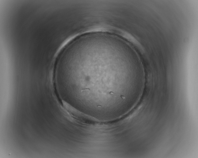 X0000115321216200911091150