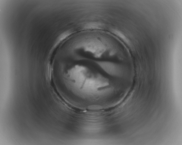 X0000115321219200911091150