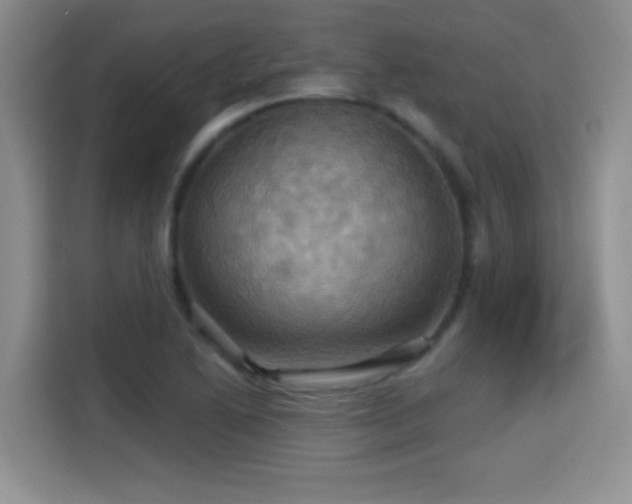 X0000115321222200911091150