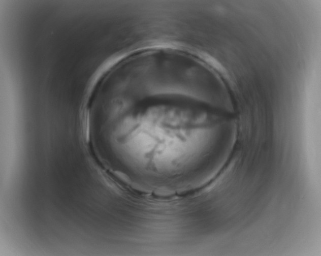 X0000115321223200911091150