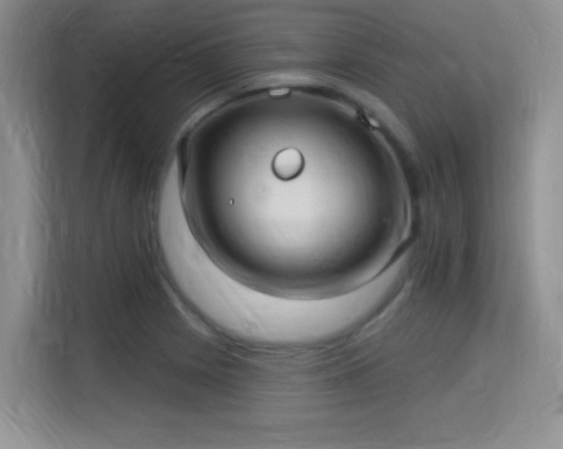 X0000115321225200911091150