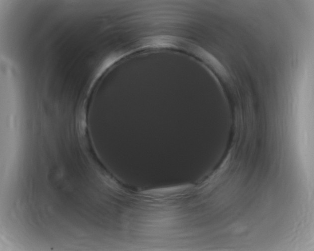 X0000115321226200911091150