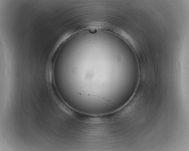 X0000115321227200911091150
