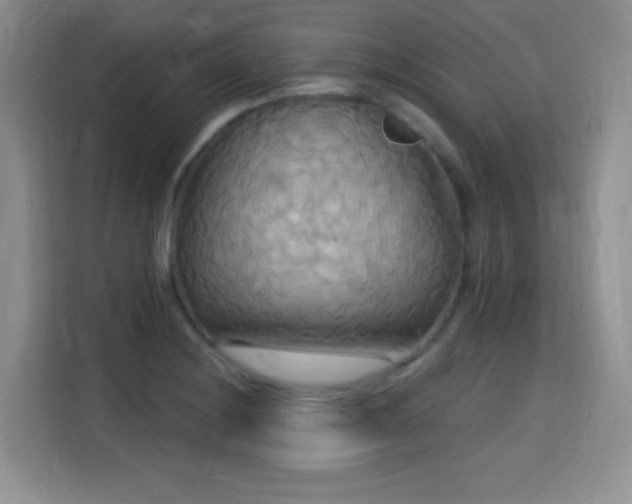 X0000115321228200911091150