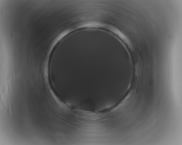 X0000115321229200911091150
