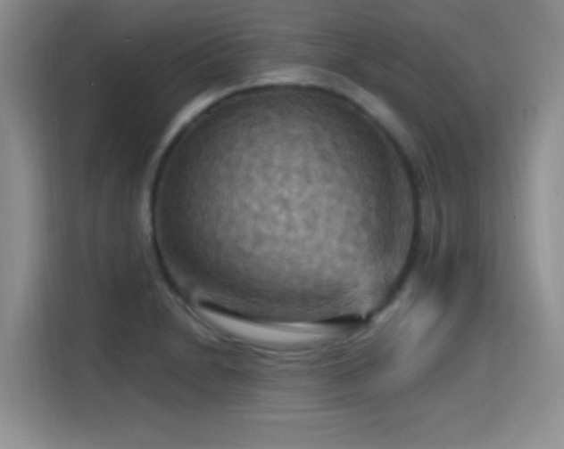 X0000115321230200911091150