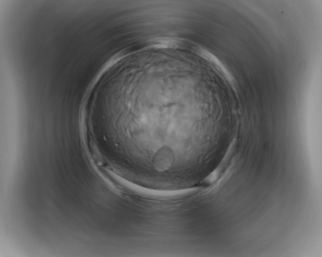 X0000115321235200911091150
