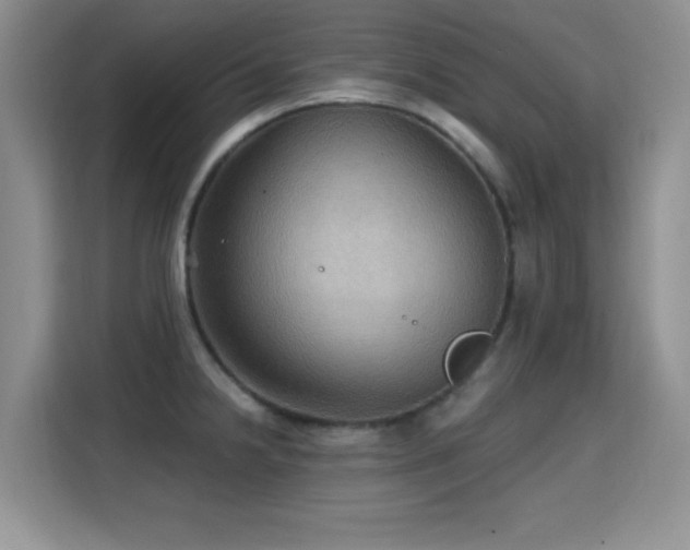 X0000115321238200911091150
