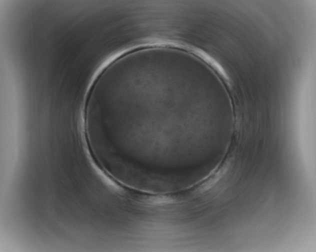 X0000115321239200911091150