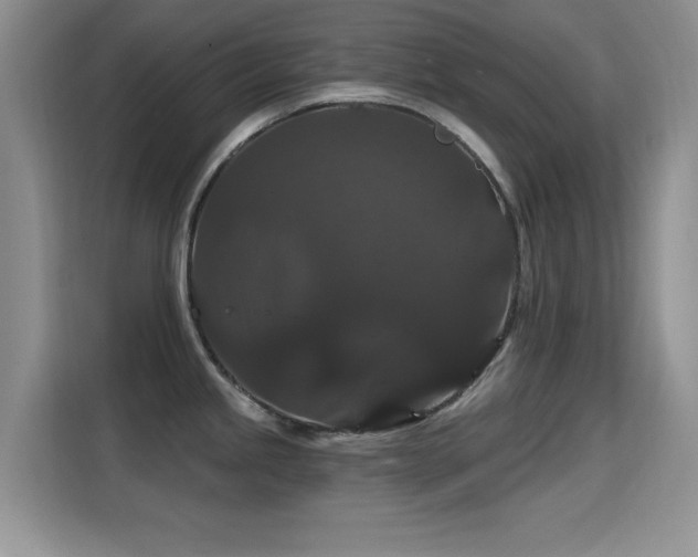 X0000115321245200911091150