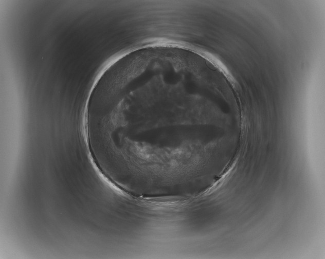 X0000115321247200911091150