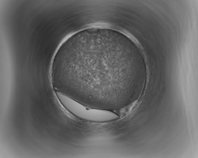 X0000115321248200911091150