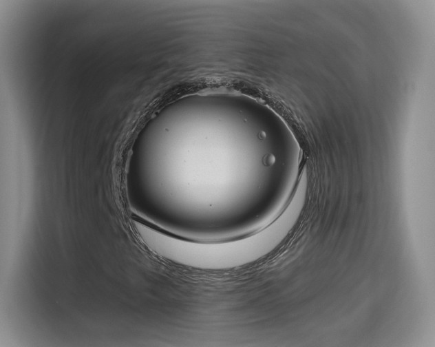 X0000115321249200911091150