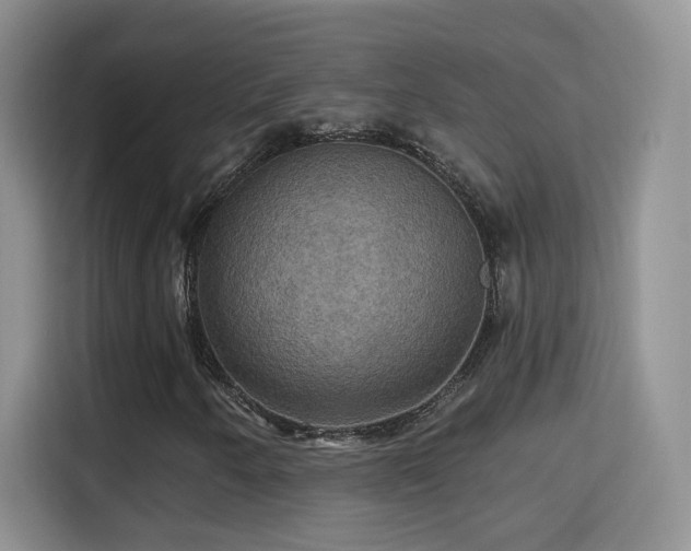 X0000115321250200911091150