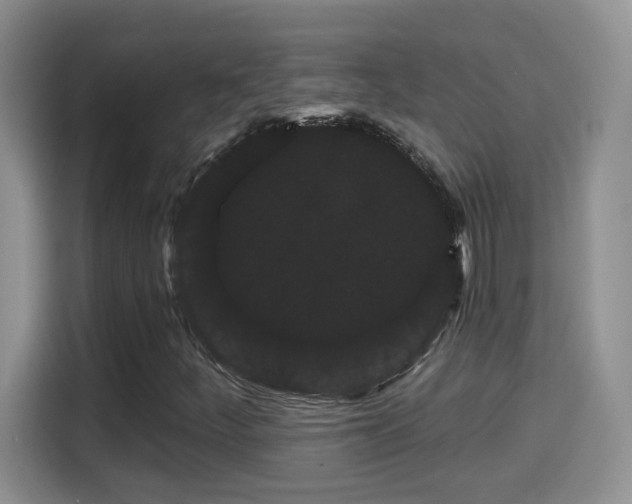 X0000115321252200911091150