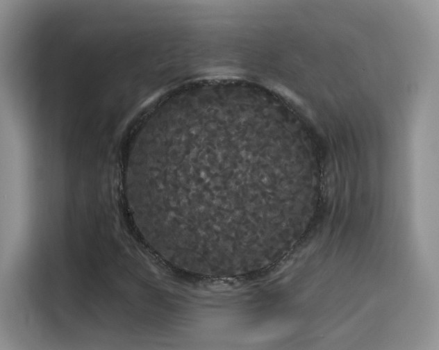 X0000115321255200911091150