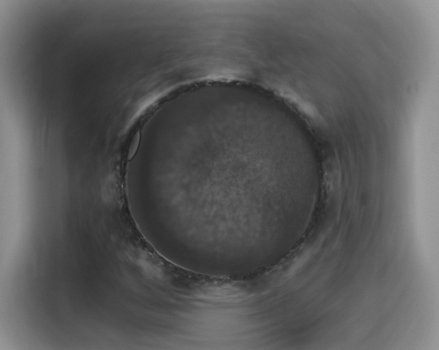 X0000115321256200911091150
