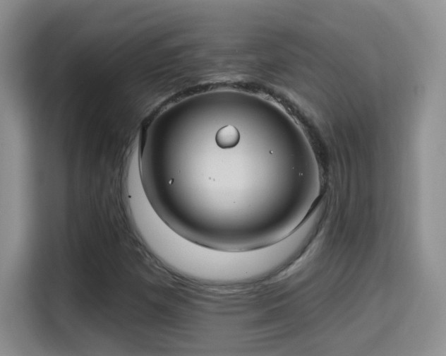 X0000115321257200911091150