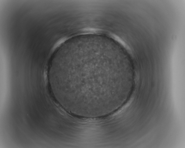X0000115321259200911091150