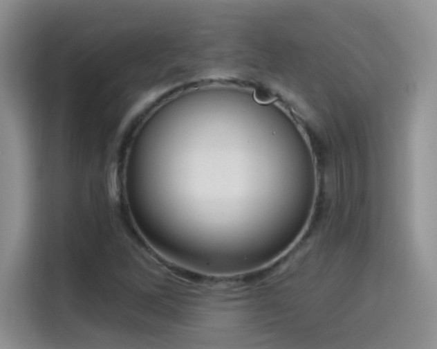 X0000115321262200911091150