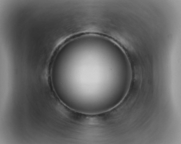 X0000115321264200911091150
