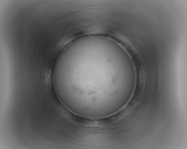 X0000115321265200911091150