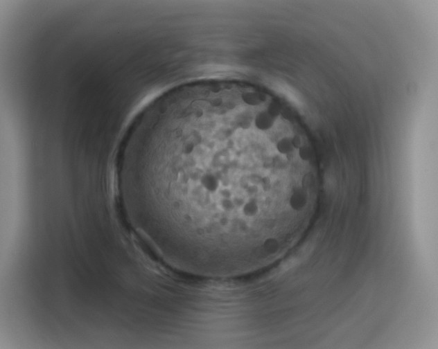 X0000115321267200911091150