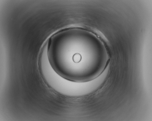 X0000115321268200911091150
