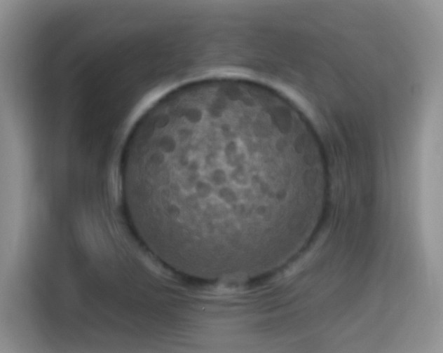 X0000115321271200911091150
