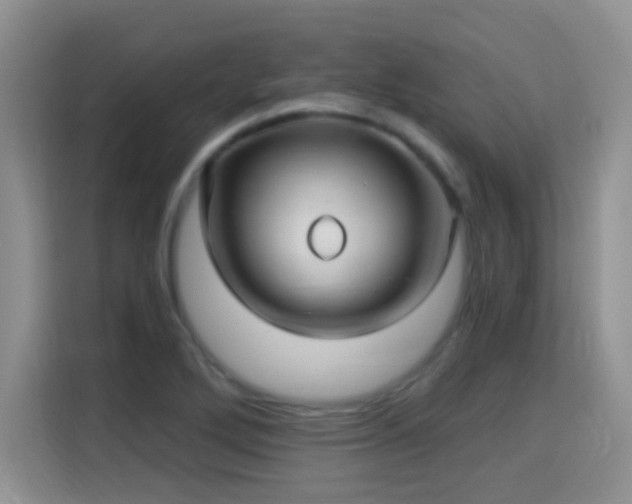X0000115321272200911091150