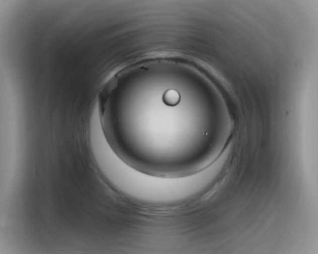 X0000115321273200911091150