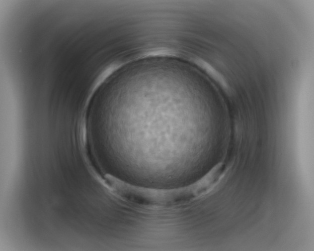 X0000115321274200911091149