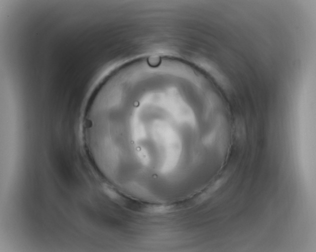X0000115321278200911091149