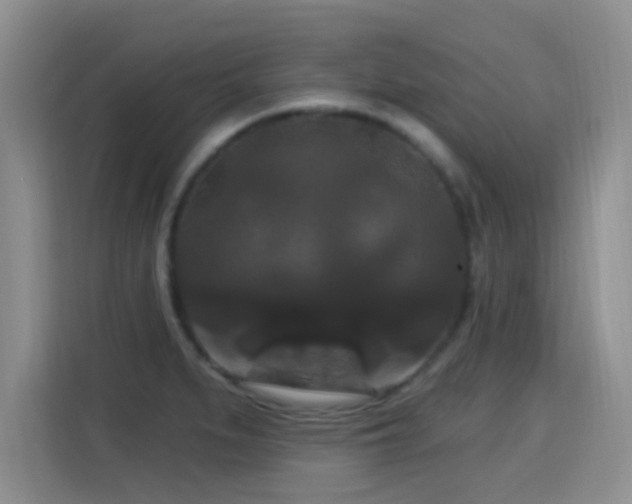X0000115321279200911091149