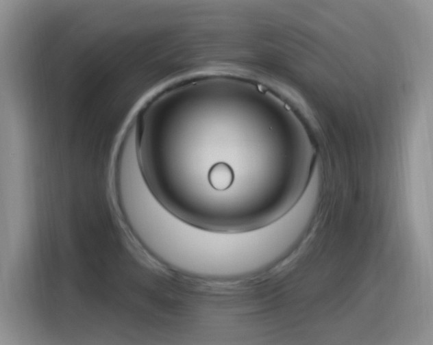 X0000115321280200911091149