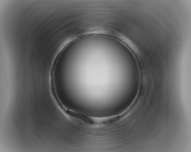 X0000115321282200911091149