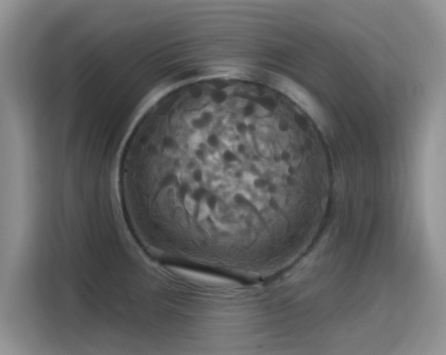 X0000115321283200911091149