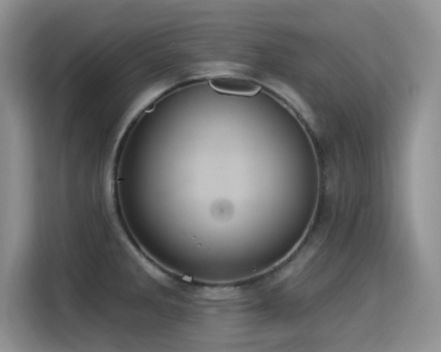 X0000115321285200911091149