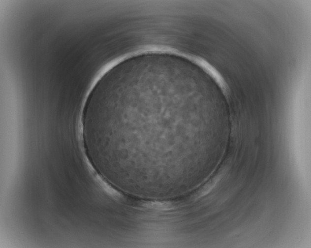 X0000115321287200911091149