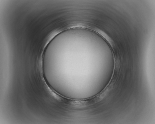 X0000115321290200911091149