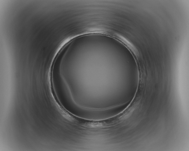 X0000115321291200911091149