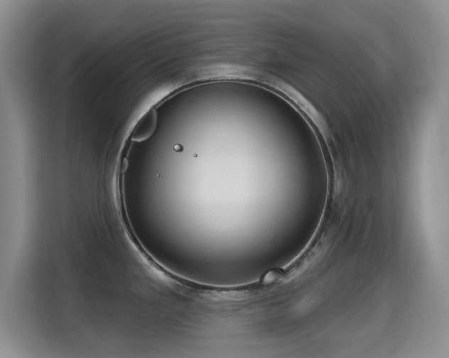 X0000115321293200911091149