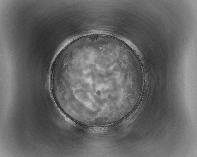 X0000115321294200911091149