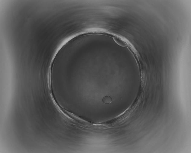 X0000115321295200911091149