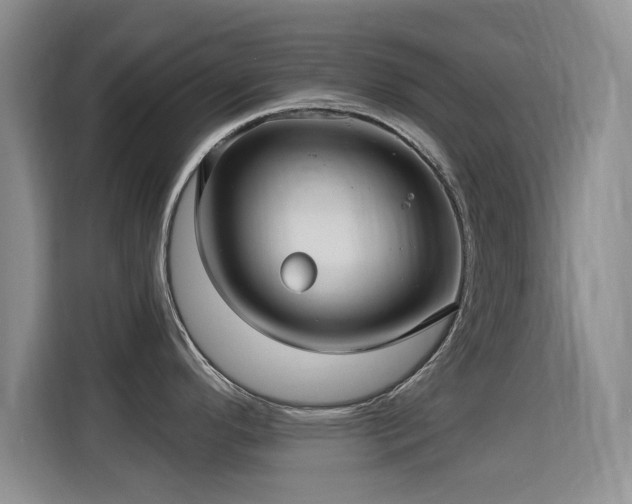 X0000115321296200911091149