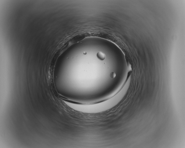 X0000115321298200911091149