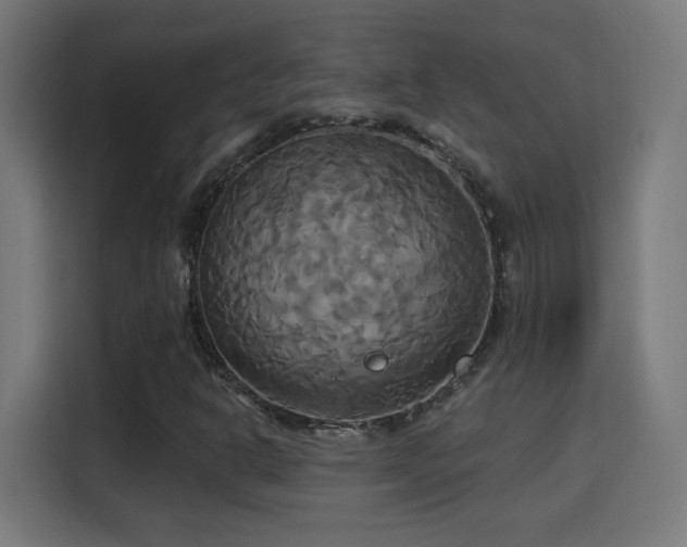 X0000115321302200911091149