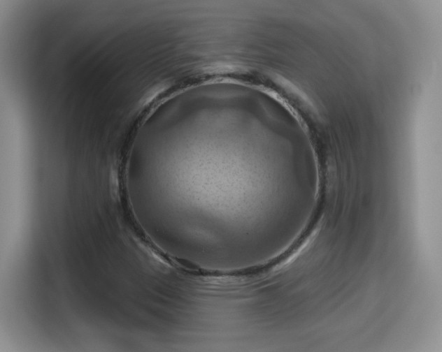 X0000115321305200911091149