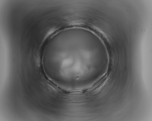 X0000115321306200911091149
